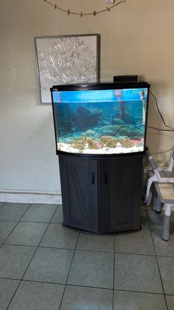 Fish tank