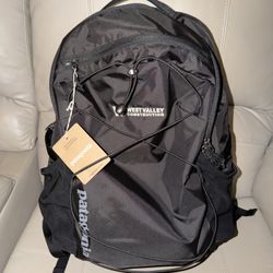 Patagonia Backpack 