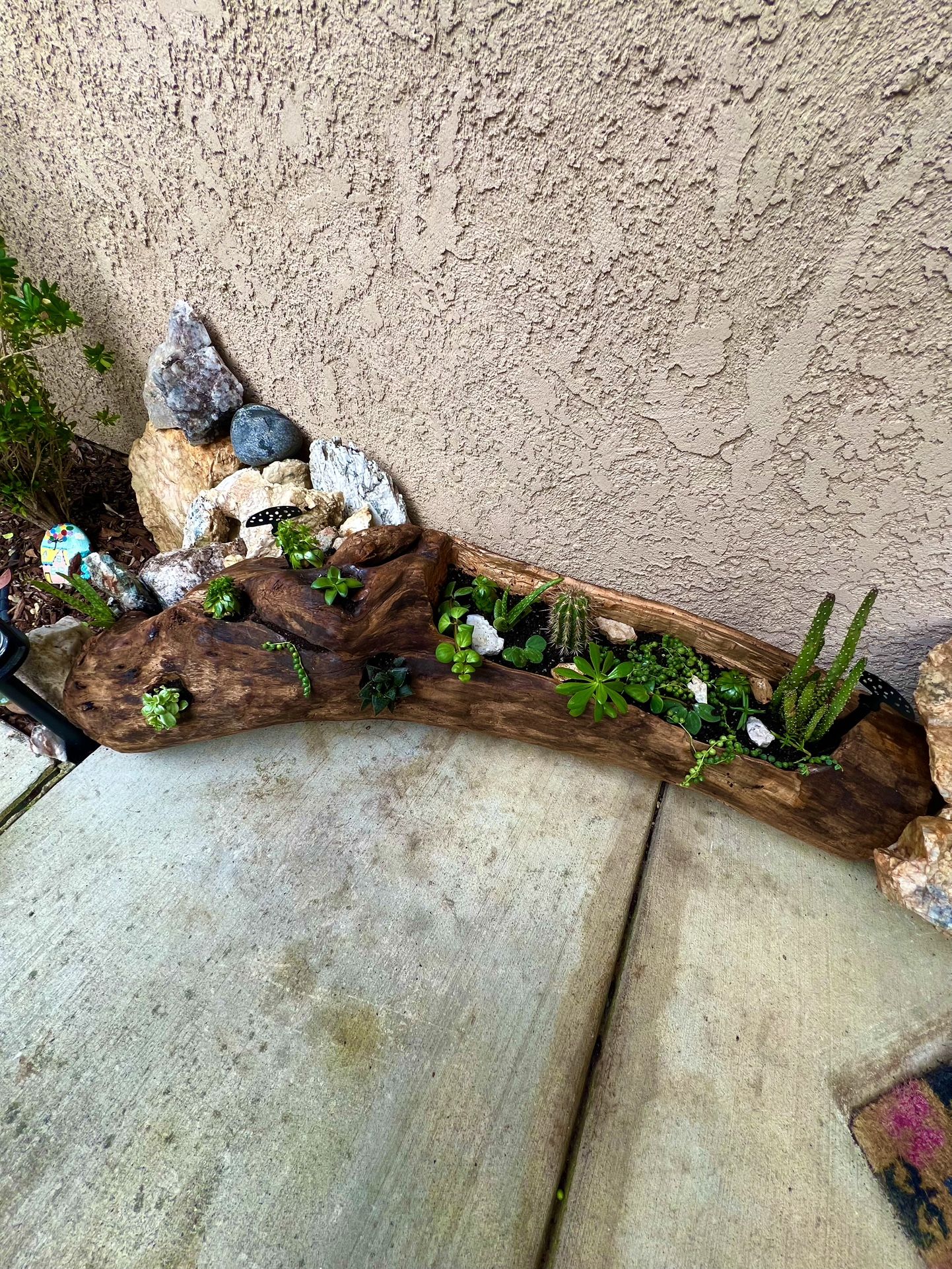 🪵Driftwood planter🪵 @Wooden.Wonders
