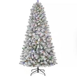 Christmas Tree + Delivery 🚨🎄