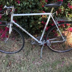 Peugeot UO8 Sport - Road Bike