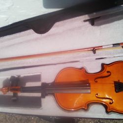 Case & Violin 