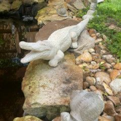 Concrete Crocodile