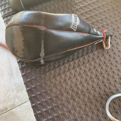 Speed Bag (Needs New Bladder/No Air)