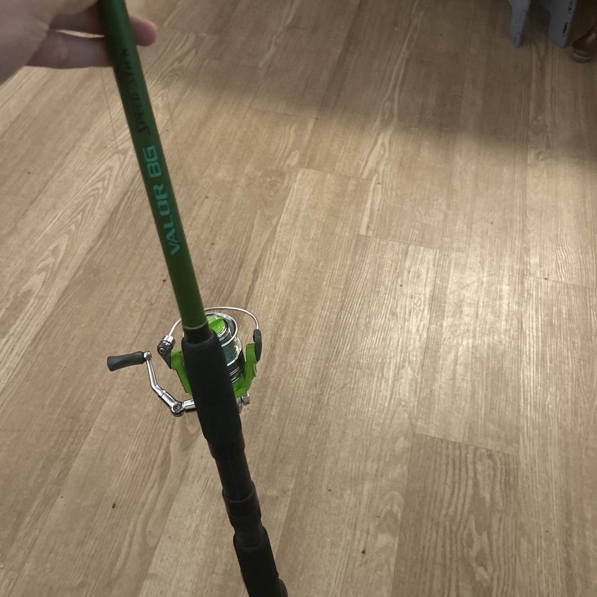 Lews Speed Stick + Bass Pro Shops Reel