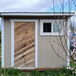 Shed