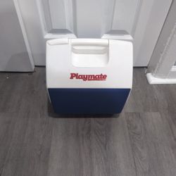 Playmate Igloo Cooler