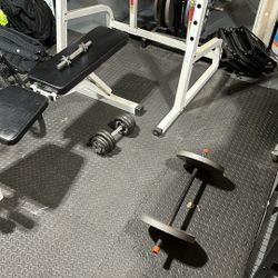 Weights And Bench