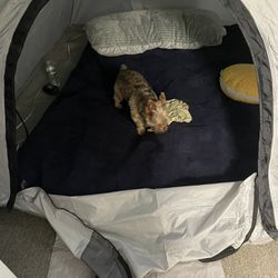Tent With Twin Air Mattress