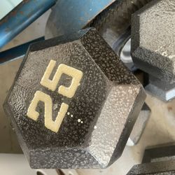 25 Pound Dumbbells 