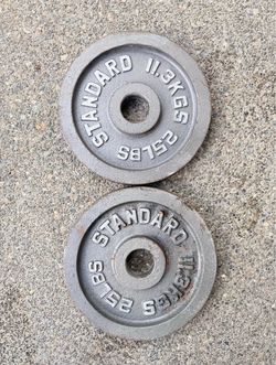 25lb weight plates
