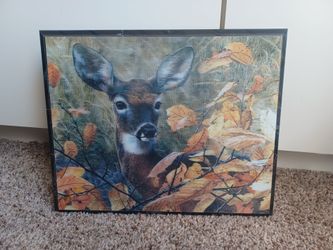Deer Picture