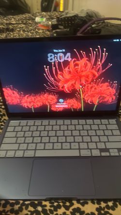 APPLE Neo