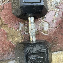 70 Lbs Dumbbells