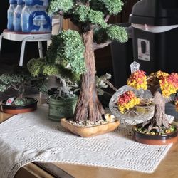 Homemade Sequoia Redwood Tree