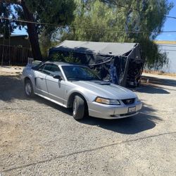 2000 Ford Mustang