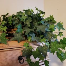 Artificial Plant In Brown Wicker Basket About 20  Long