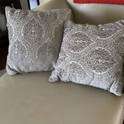 2 Gray Pillows-$10.