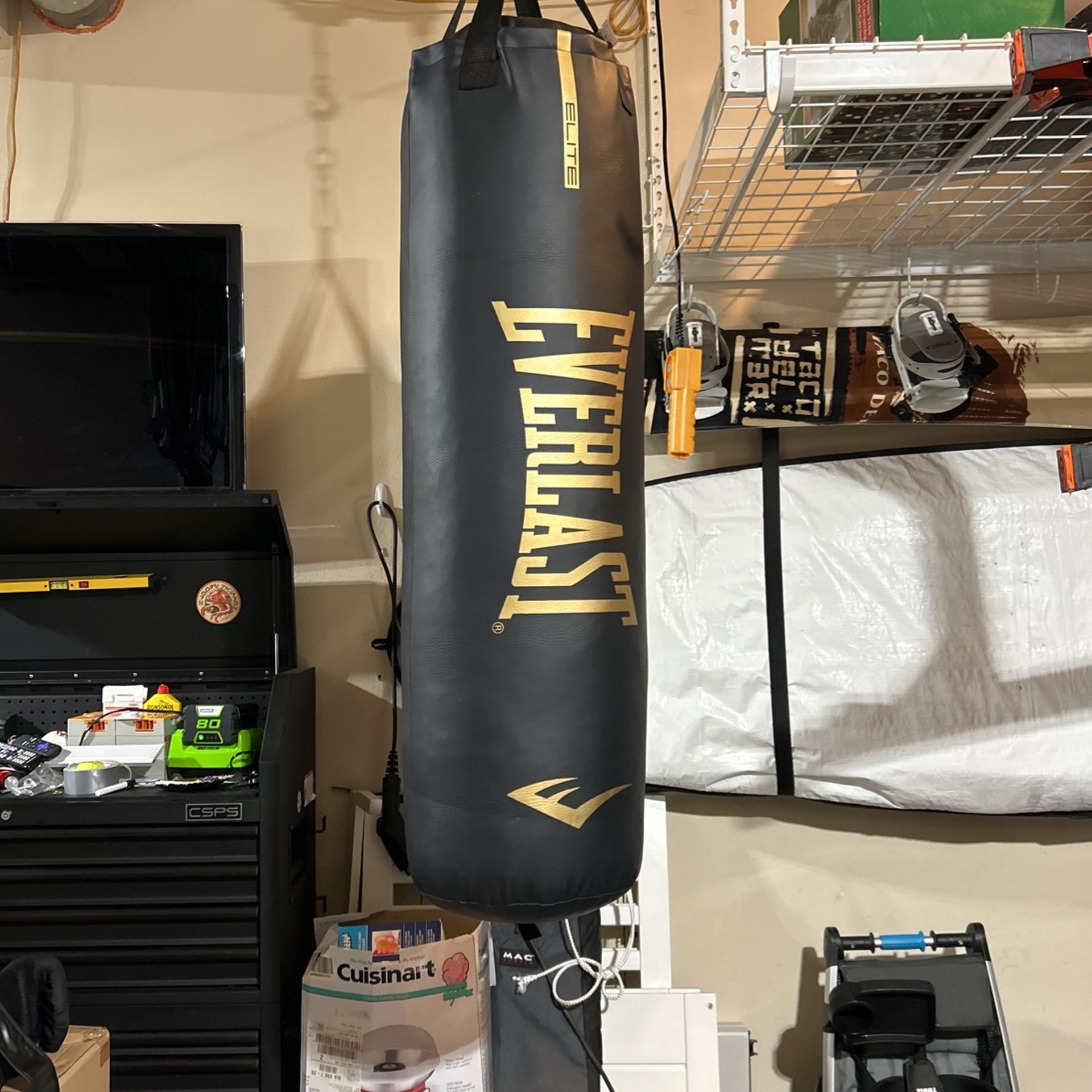 100lb Everlast Punching Bag