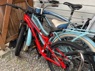 Mountain bike