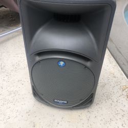 Mackie C300 Passive PA Speaker