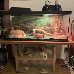 Zoom Med 20 Gallon Tank For A Gecko