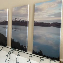 Custom Patagonia Wall Art Print 3 Pieces - 1’ x 2’ Each