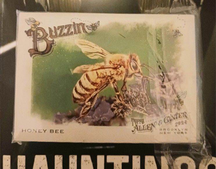 Super Nice Topps Allen & Ginter Buzzin Bees Card Lot Unopened