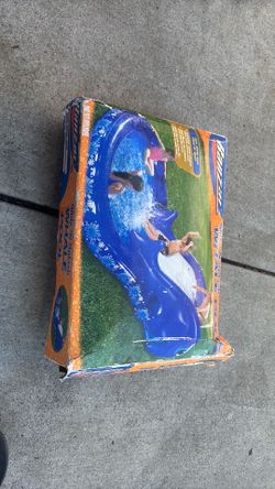 Pool whale