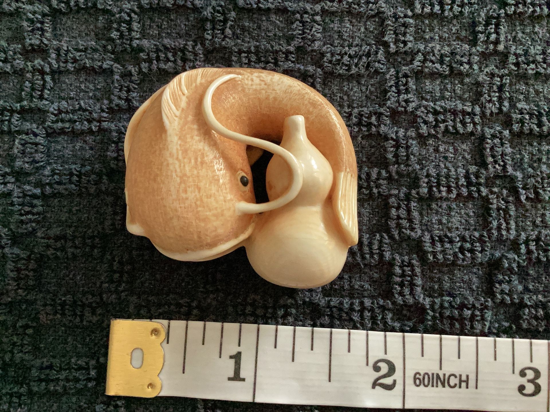 Mammoth Catfish With Gourd