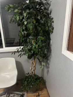 Artificial Tree / Faux Ficus Plant 