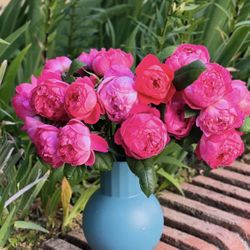 Roses 