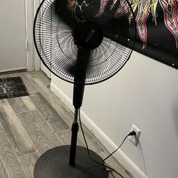 fan