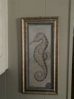 Coastal collection