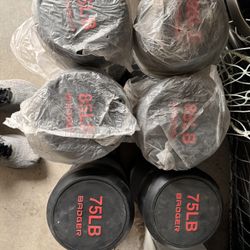 Rubber Coated Dumbbell Set 75 85 95