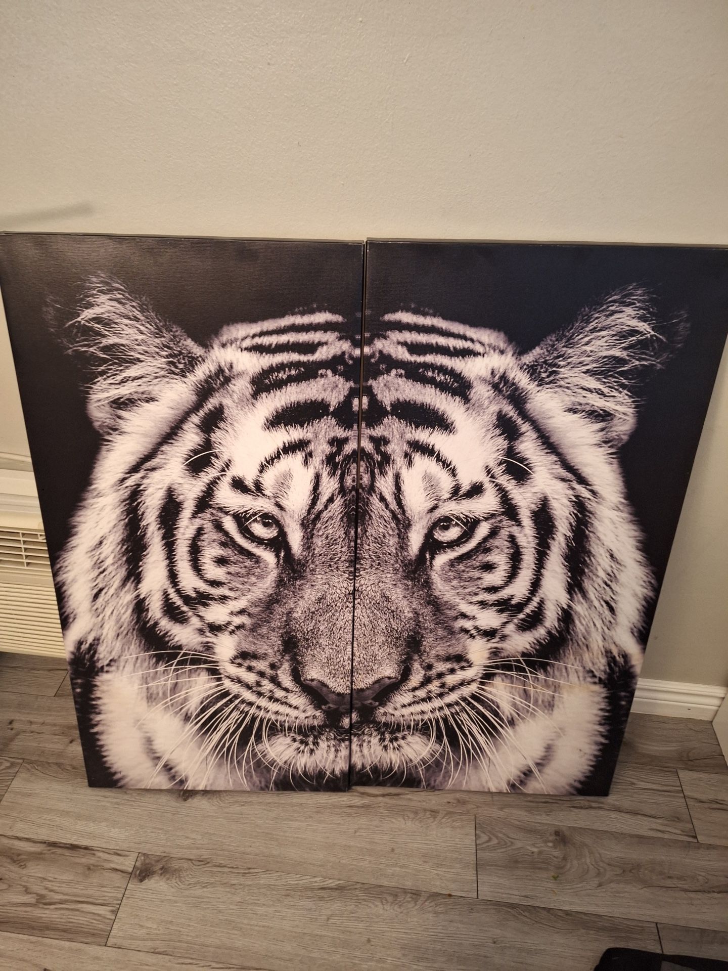 Canvas Art 