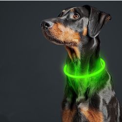 Brand New Light up Dog Collar for Night Walking Rechargeable, Led Dog Collar Water Resistant Lighted Dog Collar Flashing Glowing Dog Collar