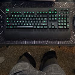 G213 Logitech Keyboard 