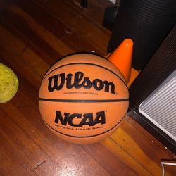 Evo Basketball