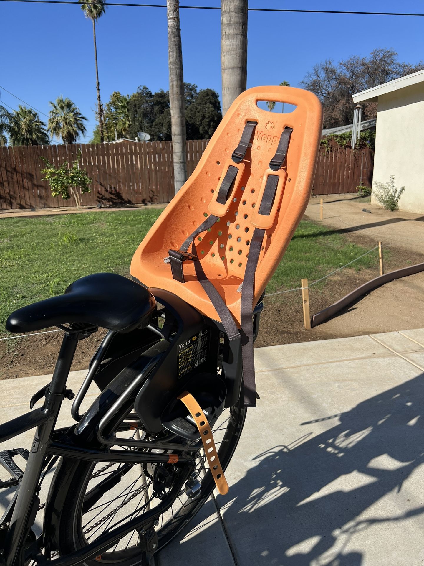 Thule Yepp Maxi Rack Mount Child Seat
