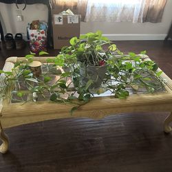 3piece Coffee Table 