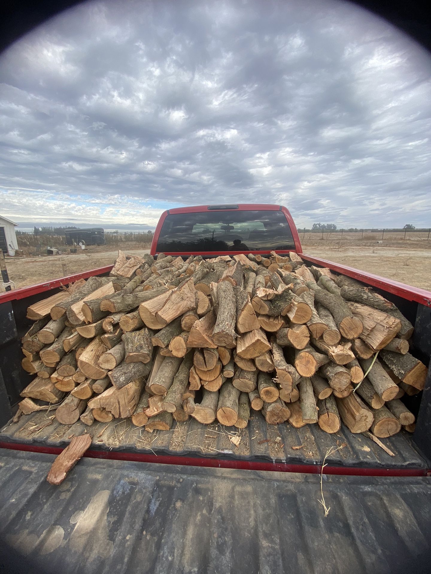 Almond Firewood