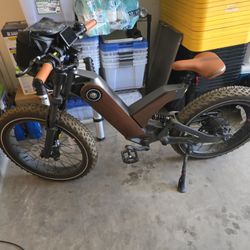 Ehora PxiD P5 Electric Bike 