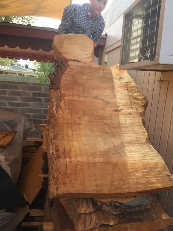 Live edge wood slabs & slices inc. Bookend pieces for Sale in Phoenix