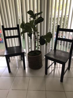 Tree Stand Chairs 🪑 Included