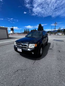 2010 Ford Escape