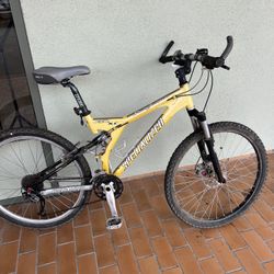 Mountain bike