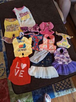 “Tiny Dog Clothes & Harness Bundle Chihuahua Yorkie XS”