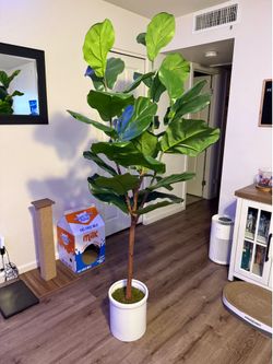 Artificial Tree (plant) 6ft