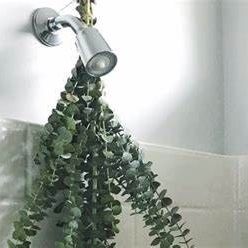 Fresh Eucalyptus (DIY Home Spa)
